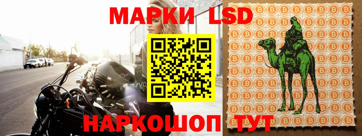 LSD-25 экстази ecstasy  mega ТОР  Северск  LSD-25 экстази  Вход с VPN  LSD-25 экстази кислота 