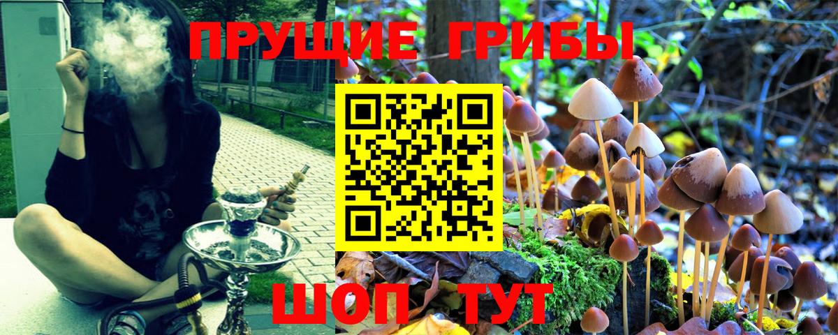 Галлюциногенные грибы мицелий Северск