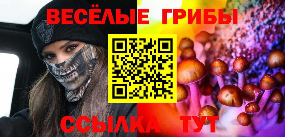 Псилоцибиновые грибы MAGIC MUSHROOMS  Вход с VPN  Галлюциногенные грибы Psilocybe  даркнет сайт  Северск 